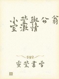 小莹与公翁办公室激情