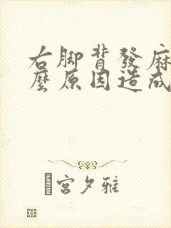 右脚背发麻是什么原因造成的
