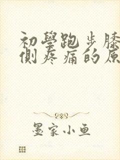初学跑步膝盖内侧疼痛的原因封面