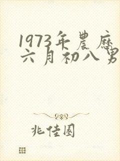 1973年农历六月初八男命