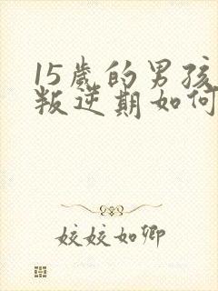 15岁的男孩子叛逆期如何去管教