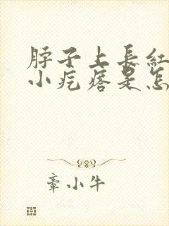 脖子上长红色的小疙瘩是怎么回事