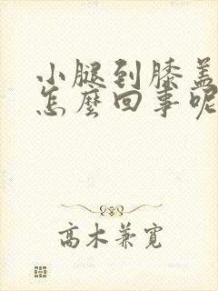 小腿到膝盖发凉怎么回事呢