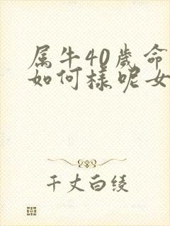 属牛40岁命运如何样呢女人封面