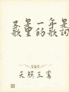 又是一年是哪首歌里的歌词
