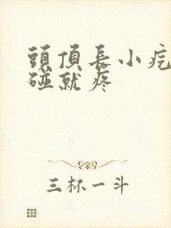 头顶长小疙瘩一碰就疼