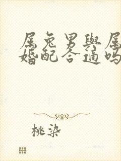 属兔男与属龙女婚配合适吗好吗