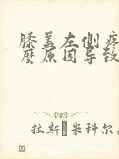 膝盖左侧疼是什么原因导致的封面