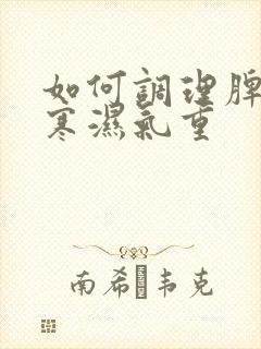 如何调理脾胃虚寒湿气重