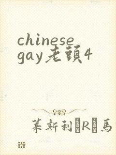 chinesegay老头4封面