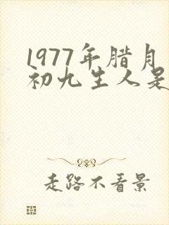 1977年腊月初九生人是什么命