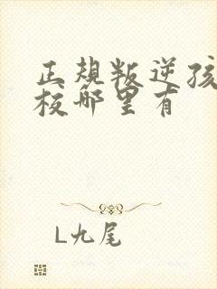 正规叛逆孩子学校哪里有