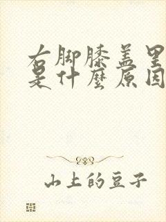 右脚膝盖里面痛是什么原因