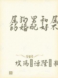 属狗男和属牛女的婚配好不好