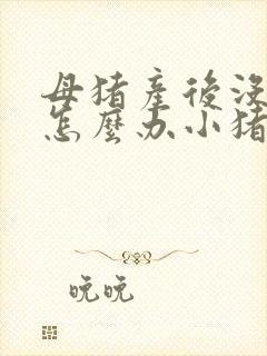 母猪产后没奶水怎么办小猪喂什么封面