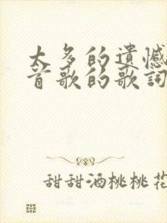 太多的遗憾是哪首歌的歌词