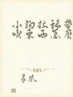 小狗拉稀带血不吃东西怎么办