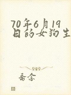 70年6月19日的女狗生人命运如何