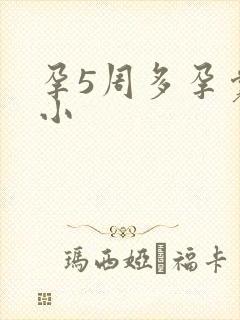 孕5周多孕囊大小