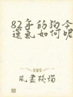 82年的狗今年运气如何呢