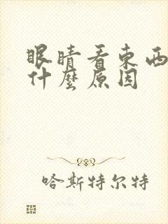 眼睛看东西模糊什么原因