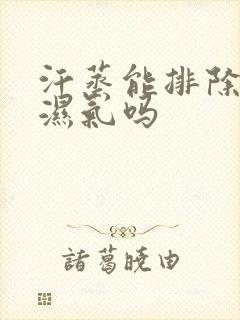 汗蒸能排除体内湿气吗