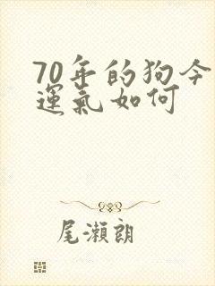 70年的狗今年运气如何