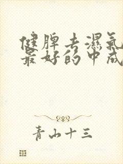 健脾去湿气清热最好的中成药