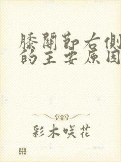 膝关节右侧疼痛的主要原因