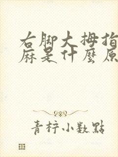 右脚大拇指一直麻是什么原因封面