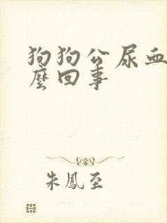 狗狗公尿血是怎么回事