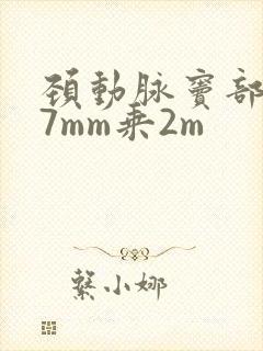 颈动脉窦部斑块7mm乘2m