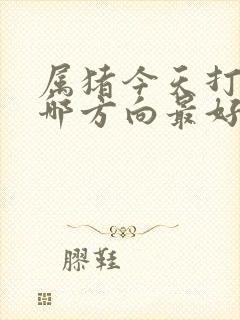 属猪今天打牌坐哪方向最好