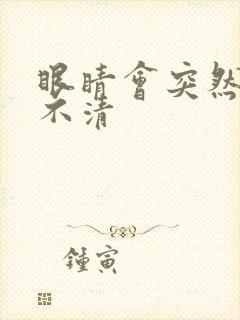眼睛会突然模糊不清