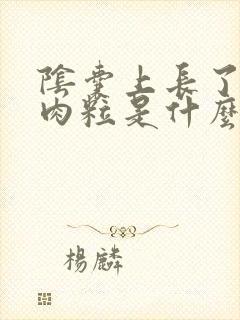 阴囊上长了个小肉粒是什么原因