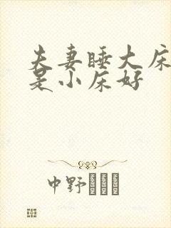 夫妻睡大床好还是小床好