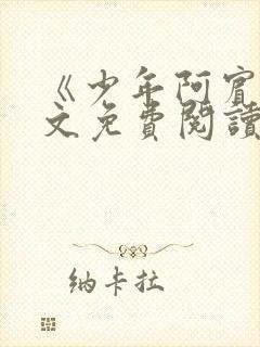 《少年阿宾》全文免费阅读封面