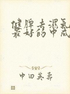 健脾去湿气养肝最好的中成药