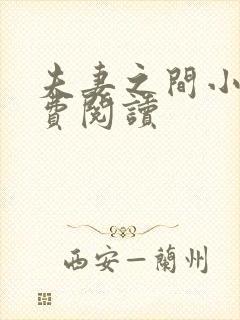 夫妻之间小说免费阅读