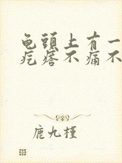 龟头上有一个小疙瘩不痛不痒