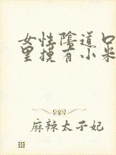 女性阴道口内往里摸有小米粒