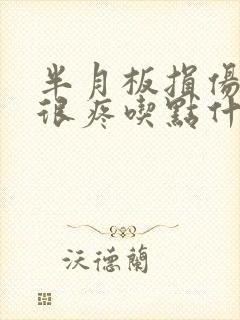 半月板损伤膝盖很疼吃点什么药好封面
