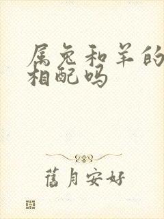 属兔和羊的婚姻相配吗