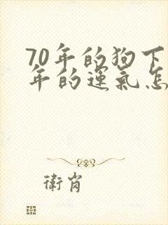 70年的狗下半年的运气怎么样封面