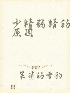 少精弱精的主要原因