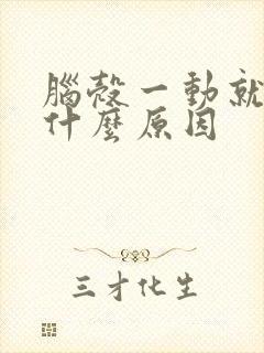 脑壳一动就晕是什么原因