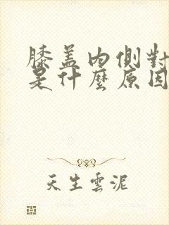 膝盖内侧对应痛是什么原因