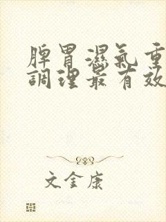 脾胃湿气重如何调理最有效