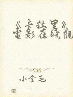 《卡拉里》印度电影在线观看封面