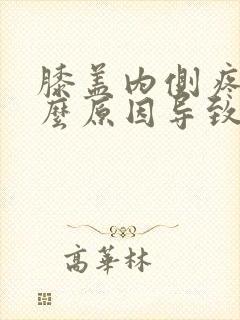 膝盖内侧疼痛什么原因导致的
